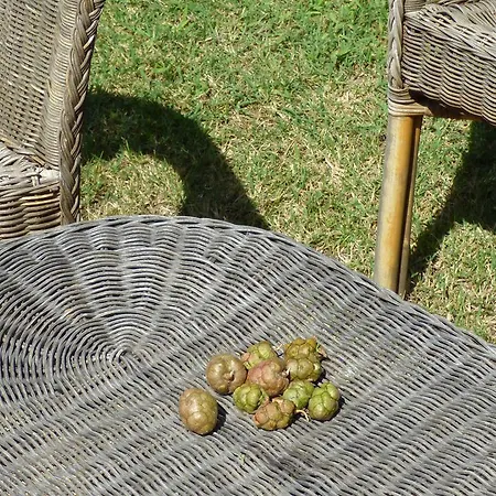 Casavacanze Podere Casanova Apartmán Sovicille